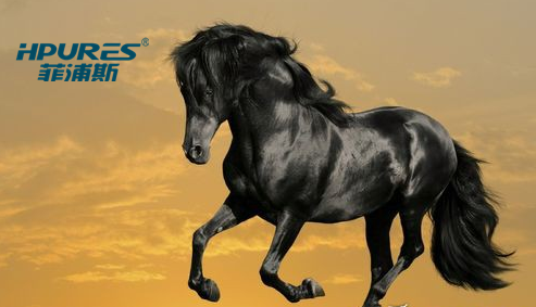 品牌凈水器加盟代理菲浦斯雙11為什么這么火（圖）_1