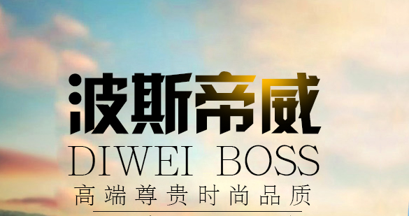 波斯帝威皮具箱包品牌愿景_1