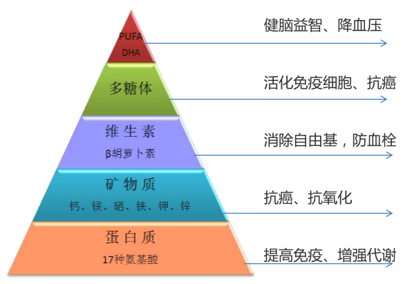 葡萄与健康（图）_2