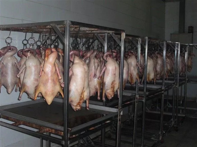 湛江哪里可以學深井燒鵝,深井燒鵝培訓（圖）_2