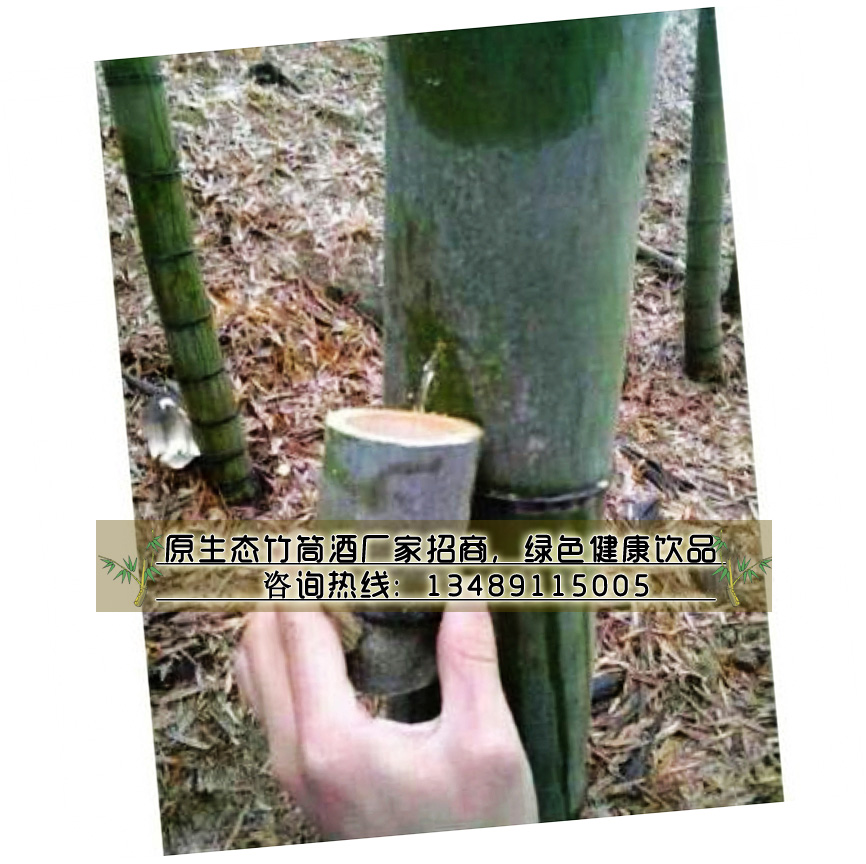 四川竹筒酒總廠加盟招商——四川成都_3