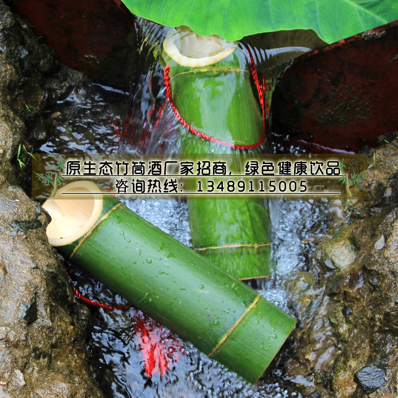 福建寧化竹筒酒加盟_云南傣族竹筒酒廠_竹筒酒批發(fā)價(jià)格_3