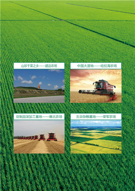 東北大豆供應(yīng)商-山東大豆供應(yīng)商-黑龍江海倫大豆批發(fā)商 (圖)_1