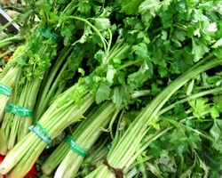 湖南正宗快餐小炒技術(shù)培訓(xùn)(圖)_2