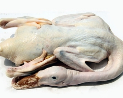 湖南正宗快餐小炒技術(shù)培訓(xùn)(圖)_3