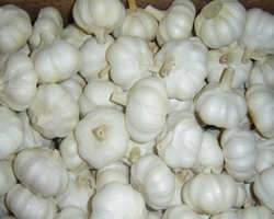 湖南正宗快餐小炒技術(shù)培訓(xùn)(圖)_4