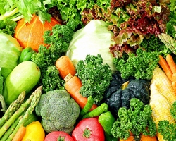 湖南正宗快餐小炒技術(shù)培訓(xùn)(圖)_5