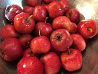 哪里可以學(xué)做冰糖葫蘆，湖南冰糖葫蘆培訓(xùn)（圖）_1