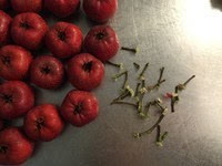 哪里可以學(xué)做冰糖葫蘆，湖南冰糖葫蘆培訓(xùn)（圖）_3