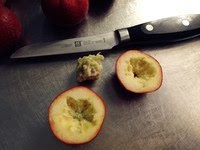 哪里可以學(xué)做冰糖葫蘆，湖南冰糖葫蘆培訓(xùn)（圖）_5