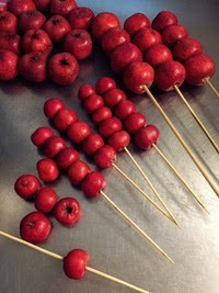 哪里可以學(xué)做冰糖葫蘆，湖南冰糖葫蘆培訓(xùn)（圖）_8