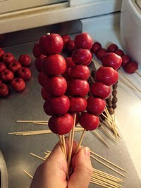 哪里可以學(xué)做冰糖葫蘆，湖南冰糖葫蘆培訓(xùn)（圖）_9