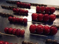 哪里可以學(xué)做冰糖葫蘆，湖南冰糖葫蘆培訓(xùn)（圖）_18