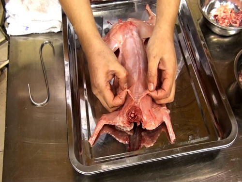 長沙正宗烤兔技術(shù)培訓(xùn)（圖）_4