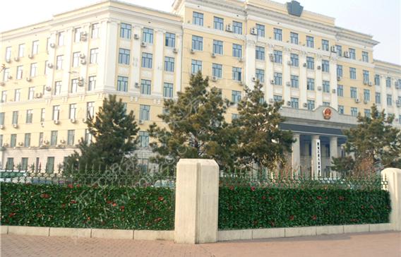 廣州仿真草坪廠家（圖）_1