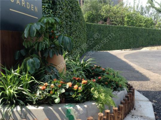 廣州仿真草坪廠家（圖）_3