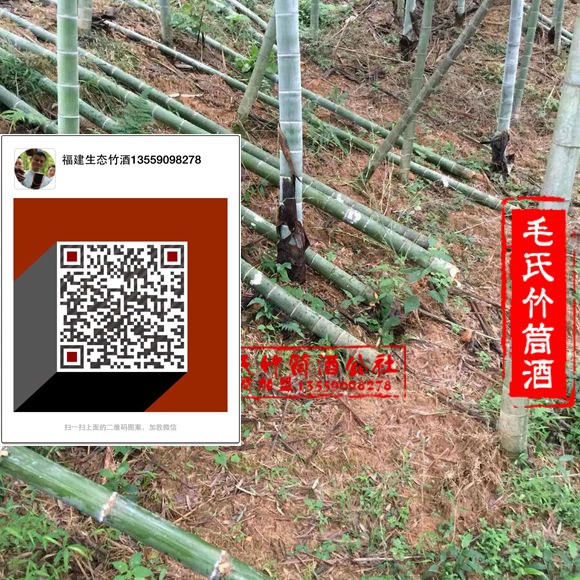 湖南原生態(tài)竹筒酒價(jià)格廠家_1