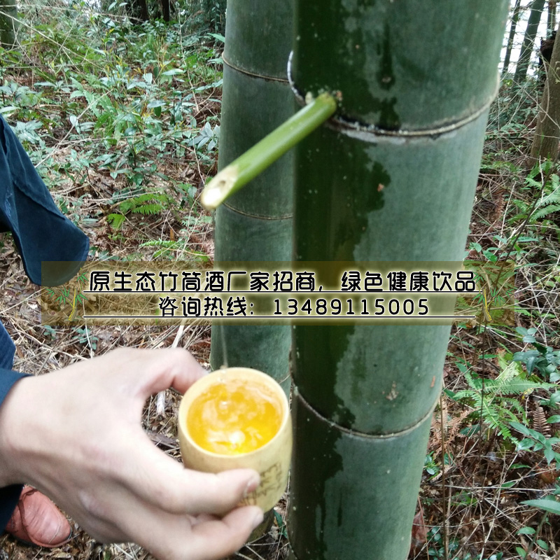 福建竹筒酒招商_2