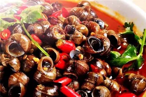 廣州哪里有口味唆螺學（圖）_2