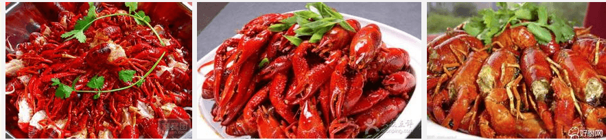 長(zhǎng)沙鹵龍蝦技術(shù)培訓(xùn)的地方（圖）_1