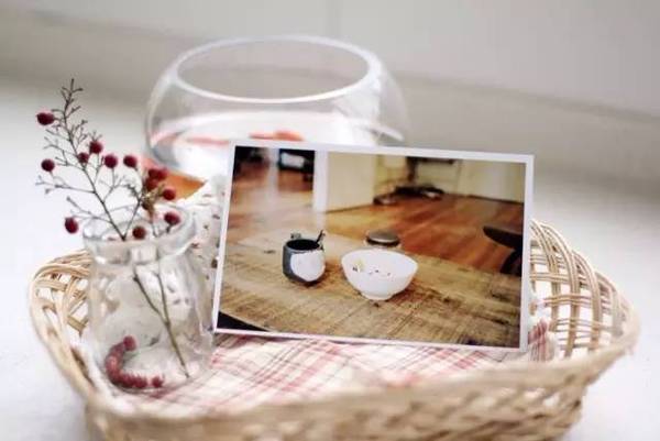 哪里可以學(xué)螞蟻上樹，湖南螞蟻上樹培訓(xùn)（圖）_1