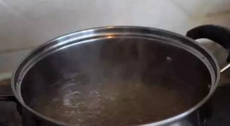 哪里可以學(xué)螞蟻上樹，湖南螞蟻上樹培訓(xùn)（圖）_6