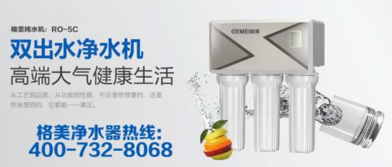 格美凈水器淺析：家用凈水器加盟商成功六大要素_3