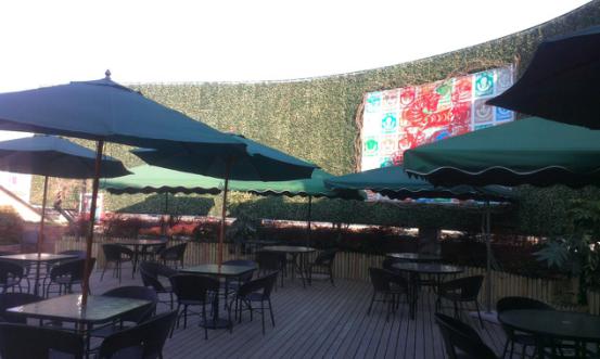 上海仿真植物廠家_3