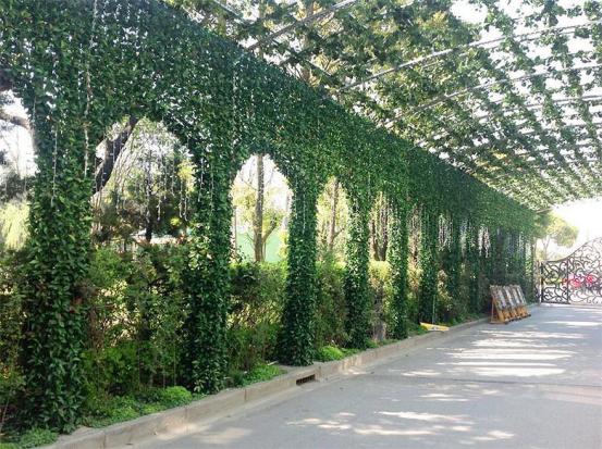 廣州仿真植物廠家_2