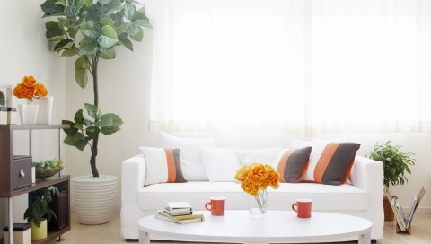 我門的美 由內(nèi)而外 金馬首木門廠家 不只做表面功夫（圖）_1