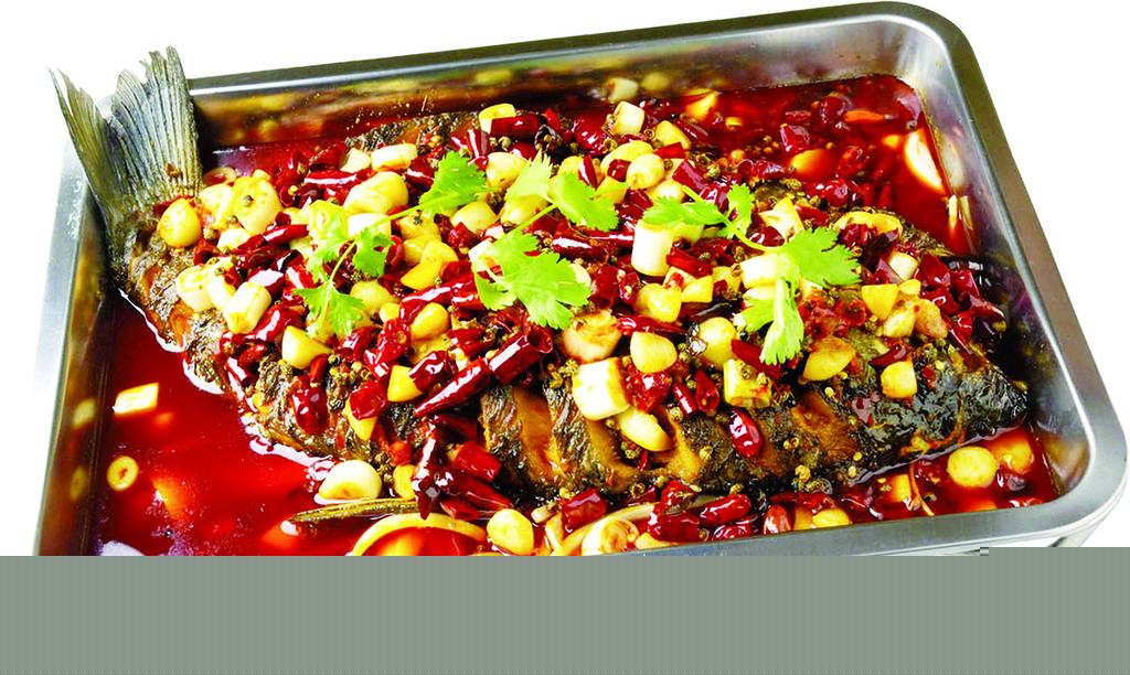 哪里有學(xué)烤魚的地方 （圖）_10