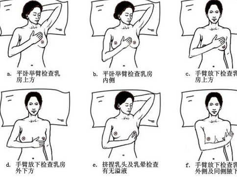 女性乳房按摩方法（图）_2