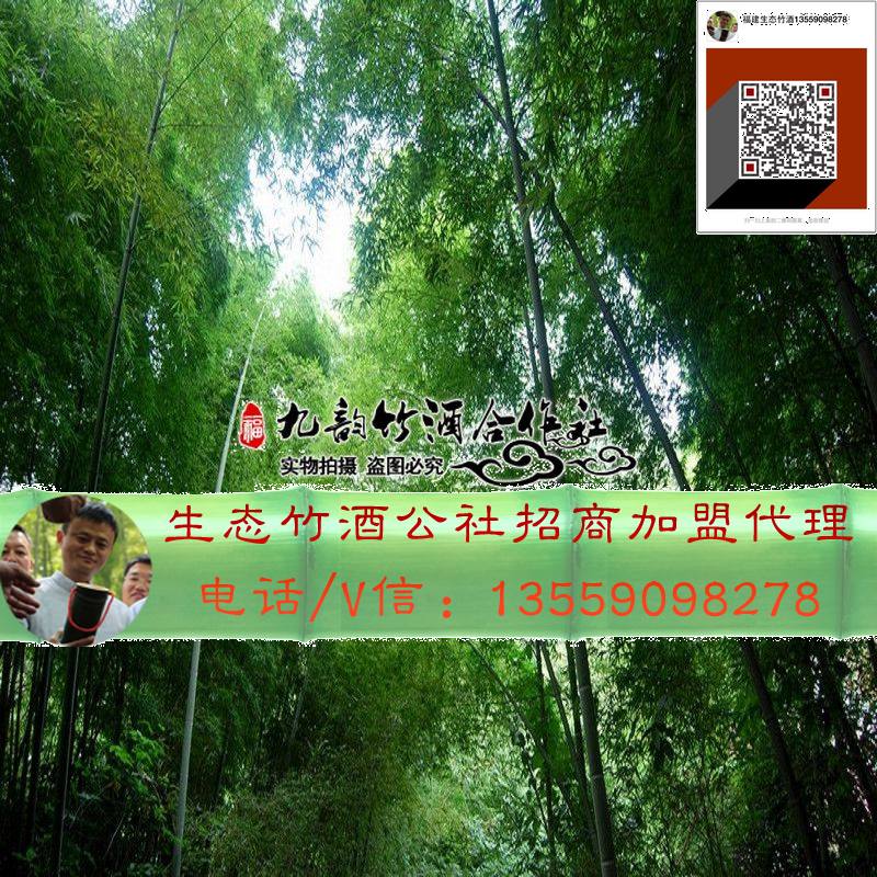 云南竹筒酒——廠家招代理經(jīng)銷_2