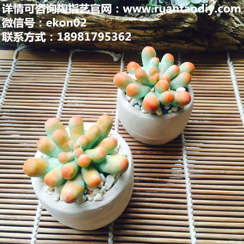 兒童創(chuàng)業(yè)項(xiàng)目招商加盟_1