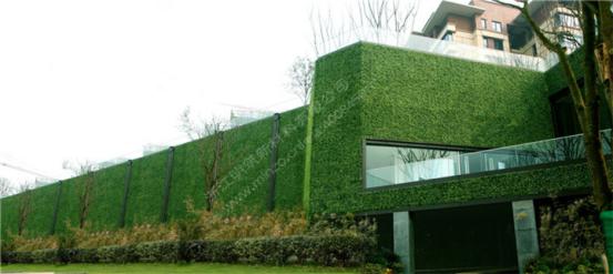 江蘇仿真植物墻 明筑仿真植物墻的真正市場價(jià)值_2