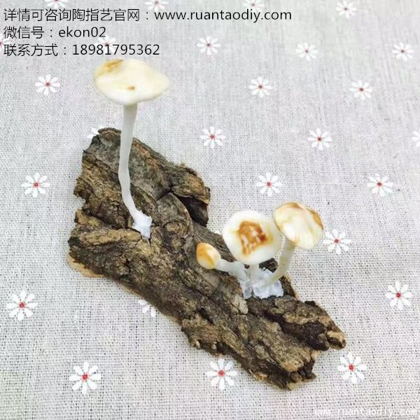 陶指藝手工陶藝DIY專業(yè)個性定制_1