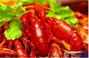 夜宵口味蝦哪里有學(圖)_1