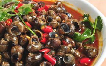 郴州口味唆螺培訓(xùn)（圖）_3