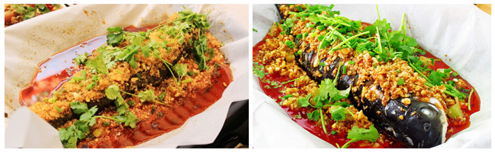 哪里可以學紙上烤魚培訓（圖）_1