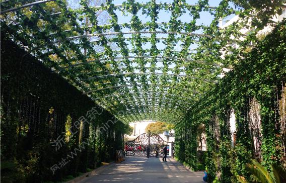 廣州仿真植物墻 明筑增強(qiáng)城市宜居性和未來(lái)發(fā)展?jié)摿Γ▓D)_2