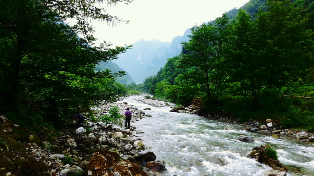 “小漢口”漁洋關(guān)鎮(zhèn)，即將迎來(lái)蜜逗酷飲美食站_1