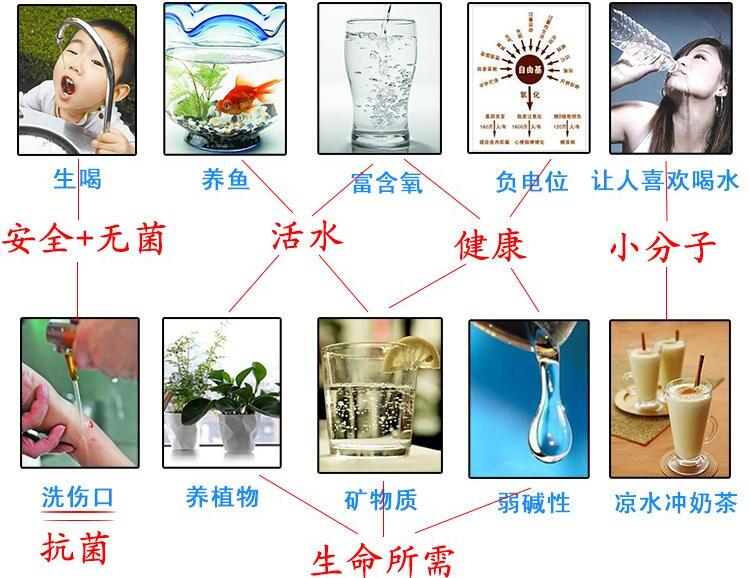 中脉颐芯磁化净水器（图）_4