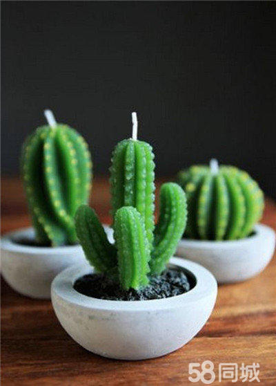 創(chuàng)意蠟燭DIY大學生加盟致富項目_3