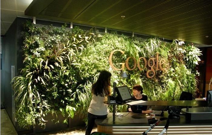 明筑仿真植物墻 帶你解讀打造“生態(tài)”辦公環(huán)境的重要性_4