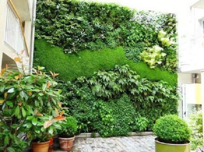 明筑仿真植物墻 帶你解讀打造“生態(tài)”辦公環(huán)境的重要性_7