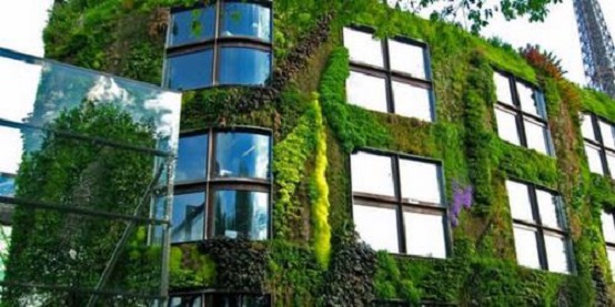 深圳仿真植物墻_3