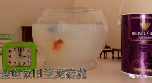 很多人都因?yàn)檠b修用了它后悔了，你中招了嗎？（圖）_6