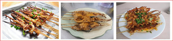 傳授鐵板魷魚全套技術/專業(yè)鐵板魷魚技術培訓機構(圖)_1