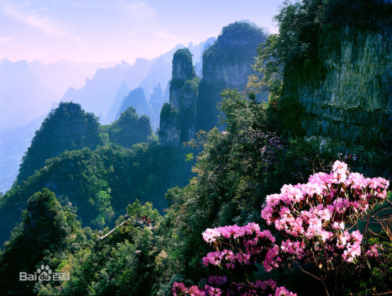 “小漢口”漁洋關(guān)鎮(zhèn)，將迎來蜜逗酷飲美食站 （圖）_1