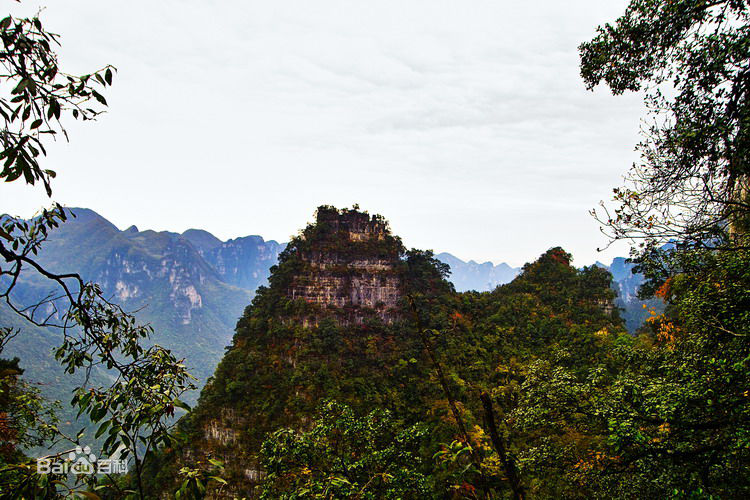 “小漢口”漁洋關(guān)鎮(zhèn)，將迎來蜜逗酷飲美食站 （圖）_3